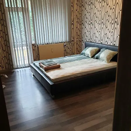 Nn بلوفديف